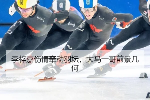 李梓嘉伤情牵动羽坛，大马一哥前景几何